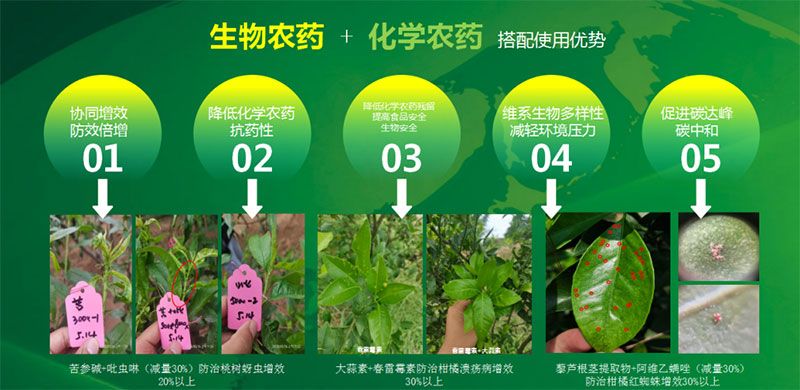 新朝陽(yáng)在第六屆中國(guó)農(nóng)藥行業(yè)市場(chǎng)和銷(xiāo)售高峰論壇做“生物農(nóng)藥+化學(xué)農(nóng)藥，引領(lǐng)植保市場(chǎng)未來(lái)”主題報(bào)告