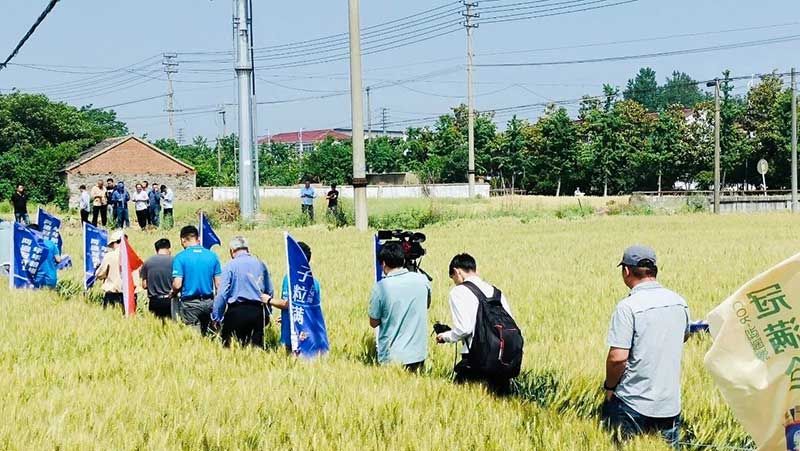 520健康植保日——擁抱綠色農(nóng)業(yè)，我們在行動