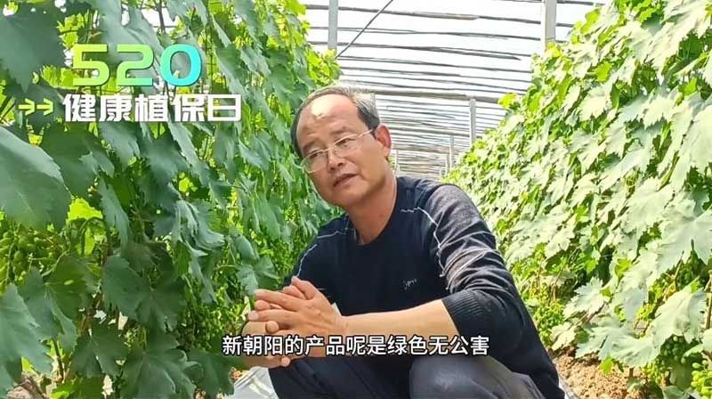 520健康植保日——擁抱綠色農(nóng)業(yè)，我們在行動